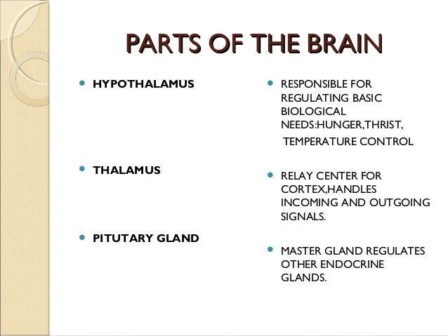 Endocrine system as a biological basis of human behavior influence of nervous and endocrine systems on behaviour